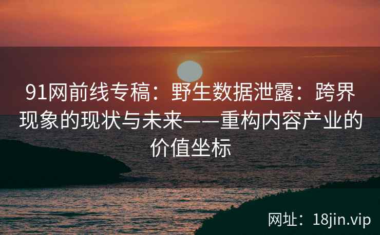 91网前线专稿：野生数据泄露：跨界现象的现状与未来——重构内容产业的价值坐标