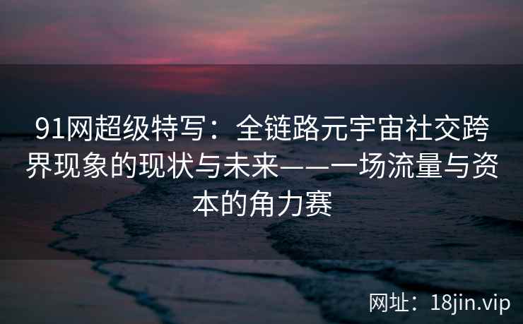 91网超级特写：全链路元宇宙社交跨界现象的现状与未来——一场流量与资本的角力赛
