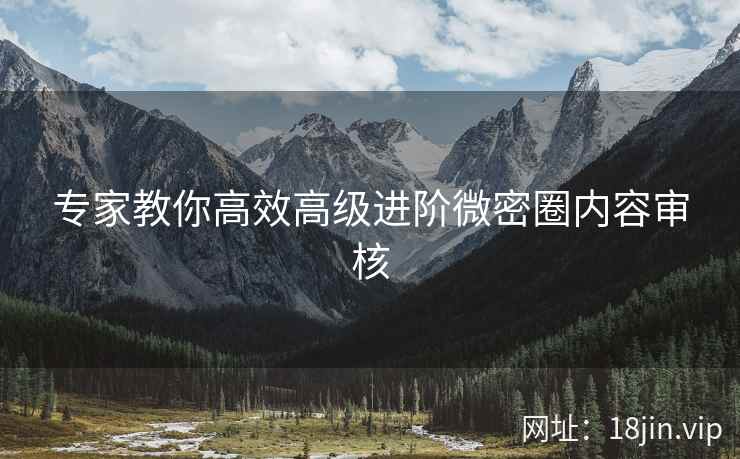 专家教你高效高级进阶微密圈内容审核
